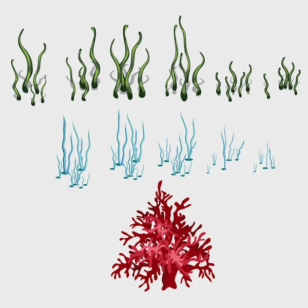अंडरवाटर घास और कोरल का सेट, रीफ तत्व — स्टॉक वेक्टर