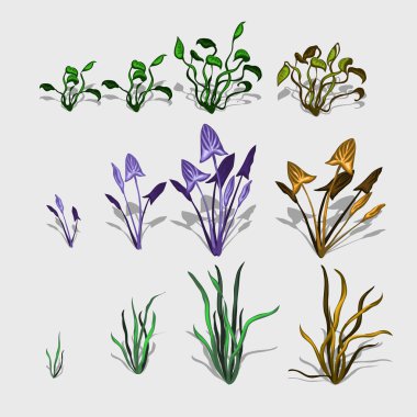 Süslü farklı bitki ve çim, büyük vektör set