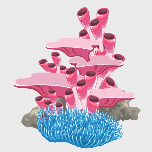 Blaue und rosa Korallen, röhrenförmige Mikroorganismen — Stockvektor
