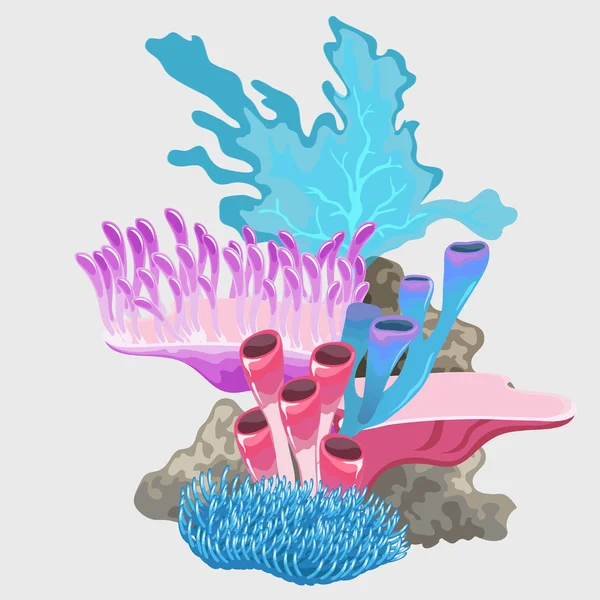 Blauwe, paarse en roze variëteit van koralen boeket — Stockvector