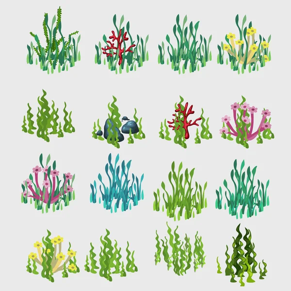 Iconos hierba con flores de colores y coral — Vector de stock