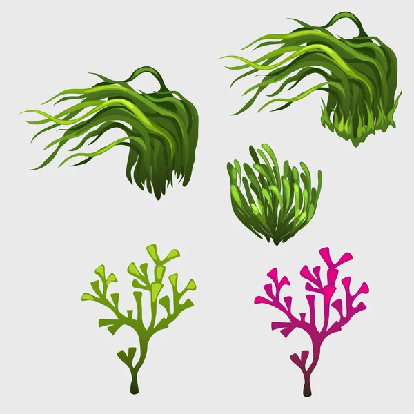 Sebze çim, ihtiyaçlarınız için Icons set — Stok Vektör
