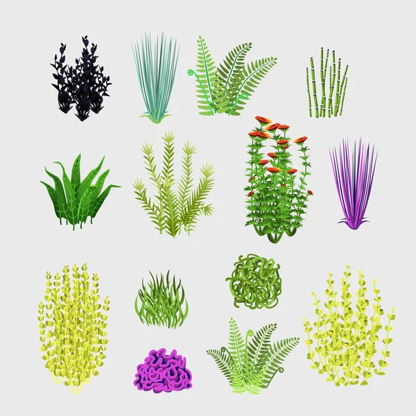 Pflanzensorten, großes Set mit 14 Symbolen — Stockvektor