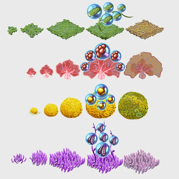 Conjunto de verduras y coral marino, cuatro composiciones — Archivo Imágenes Vectoriales