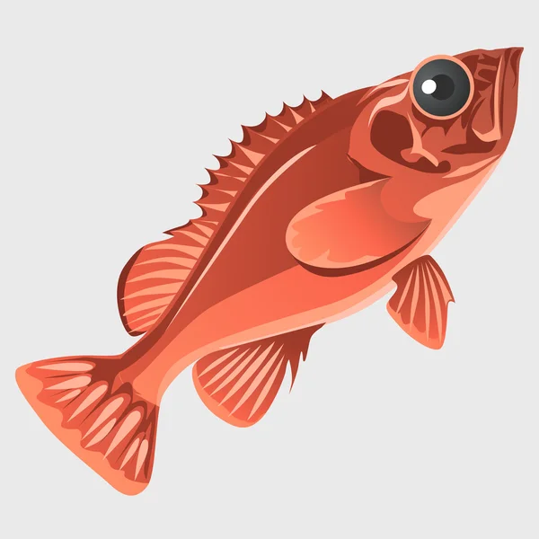 Изображение рыбы, изолированной в плоском стиле — стоковый вектор