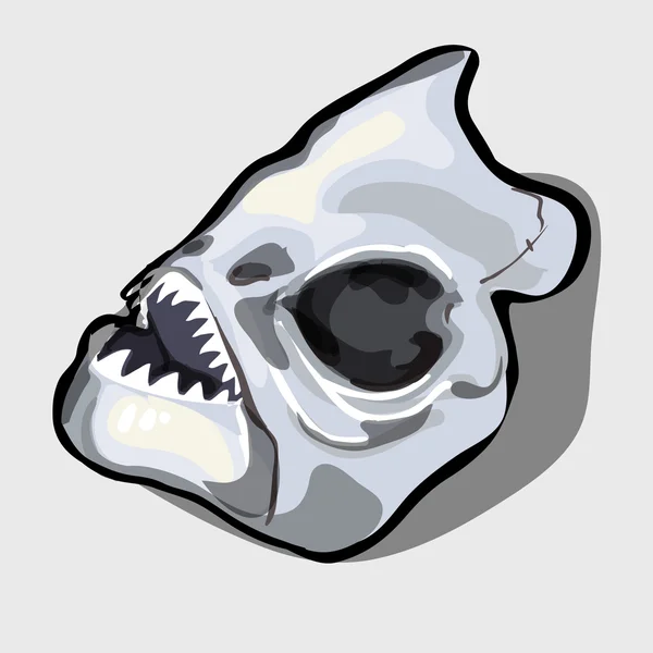 Cranial bot vis, hoofd oude toothy wezens — Stockvector