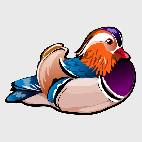 Piękny ptak z piór pomarańczowy i niebieski — Wektor stockowy