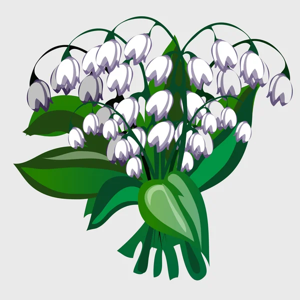 ベクトル イラスト白い花の花束 — ストックベクタ