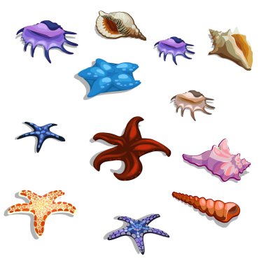 Deniz yıldızı ve deniz kabuklarını, büyük renkli görüntülerini ayarla
