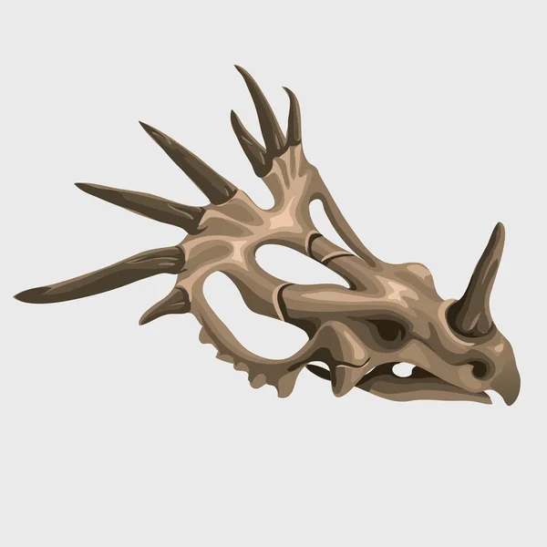 경적 고 대 동물의 화석 두개골 — 스톡 벡터