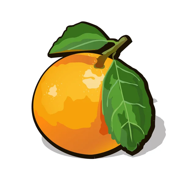 Vector naranja madura fresca con hojas — Archivo Imágenes Vectoriales