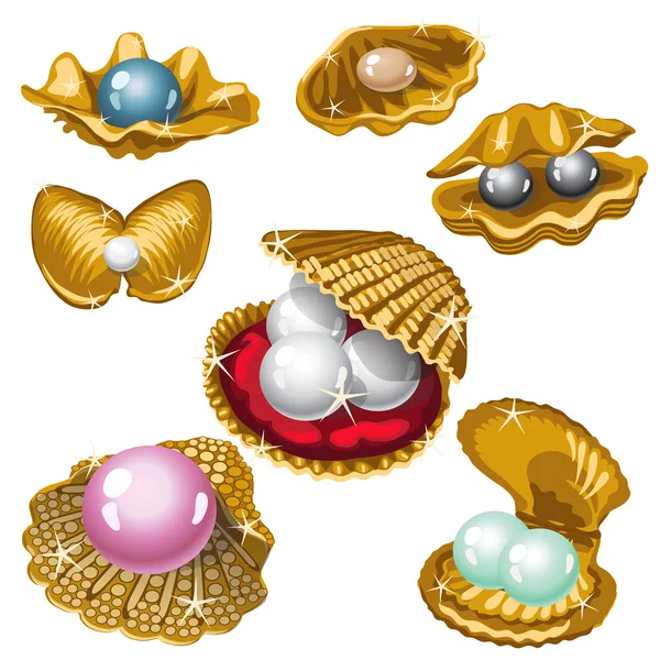 Arany shell, fehér, fekete, rózsaszín és a kék gyöngy — Stock Vector