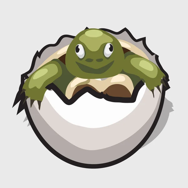 Soepschildpad is geboren uit een ei, cartoon stijl afbeelding — Stockvector