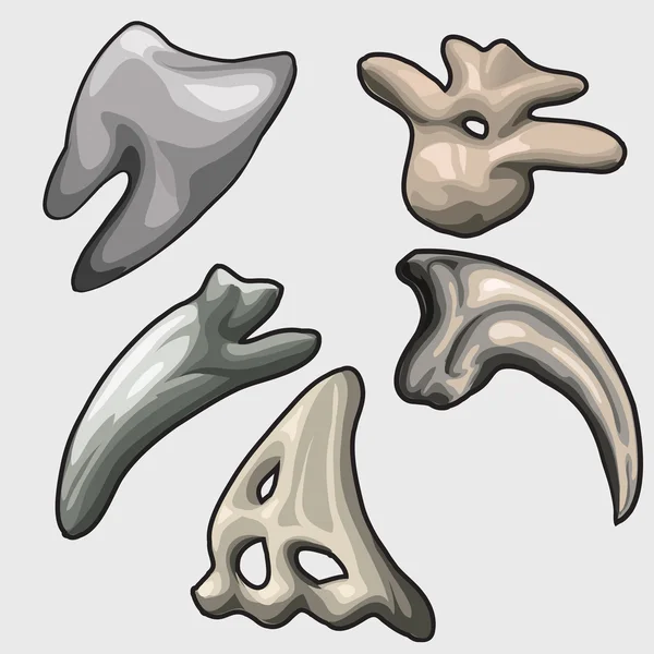 Δόντια και χαυλιόδοντες από διαφορετικά ζώα αρχαία — Διανυσματικό Αρχείο