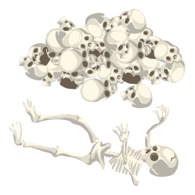 Human skeleton and pile of skulls. Vector isolated clipart
