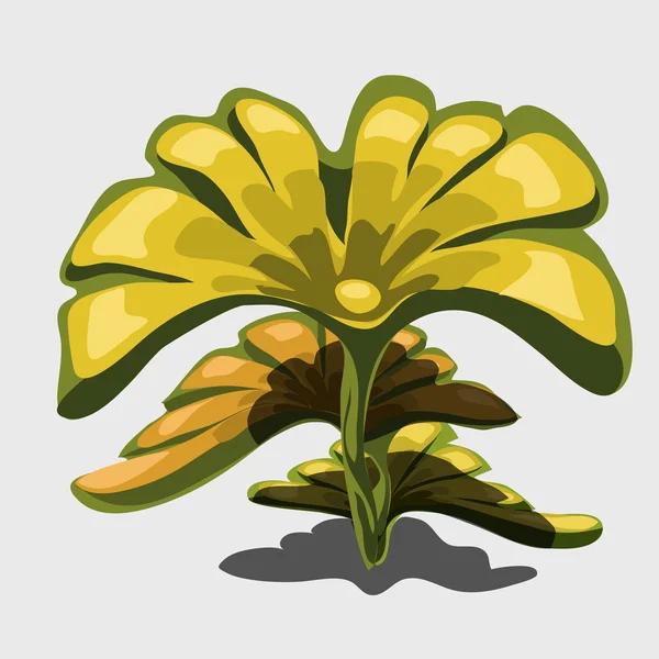 Yellow exotic plant with large leaves — Stock Vector