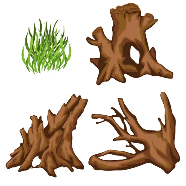 Bizzarre radici d'albero e ciuffo d'erba, quattro elementi — Vettoriale Stock