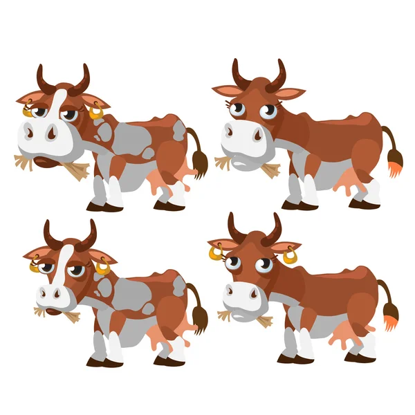 Чотири коричневі і плямисті корови жують траву — стоковий вектор