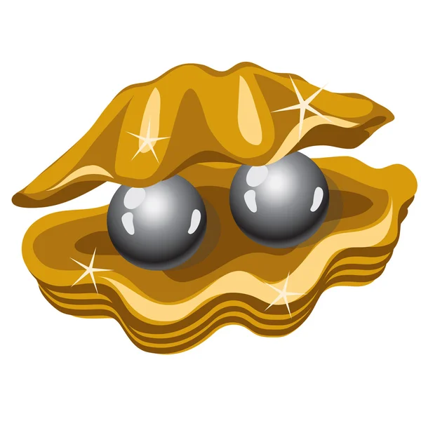 Dos brillantes perlas negras en una caja de oro de conchas — Vector de stock