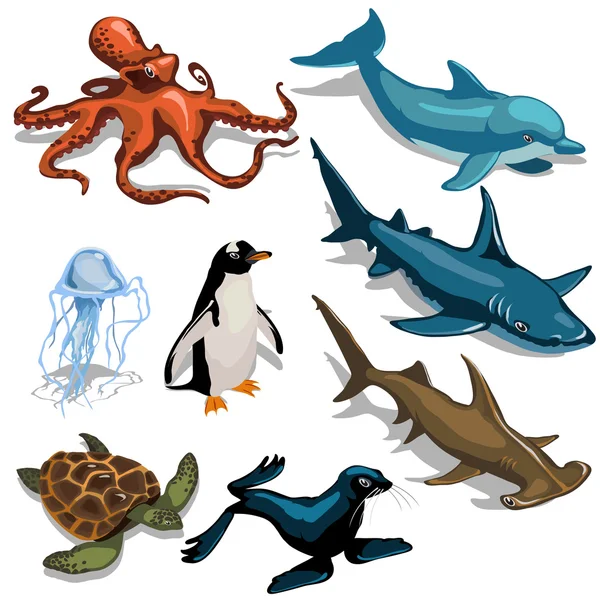 Ψάρια, δελφίνι, σφραγίδα και άλλα μέλη της βαθιάς θάλασσας — Διανυσματικό Αρχείο