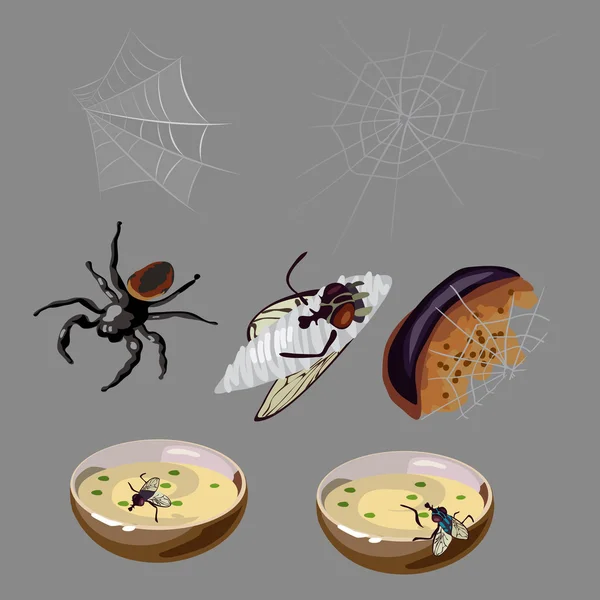 Legyek, a pókok, a romlott étel és a rovarok — Stock Vector