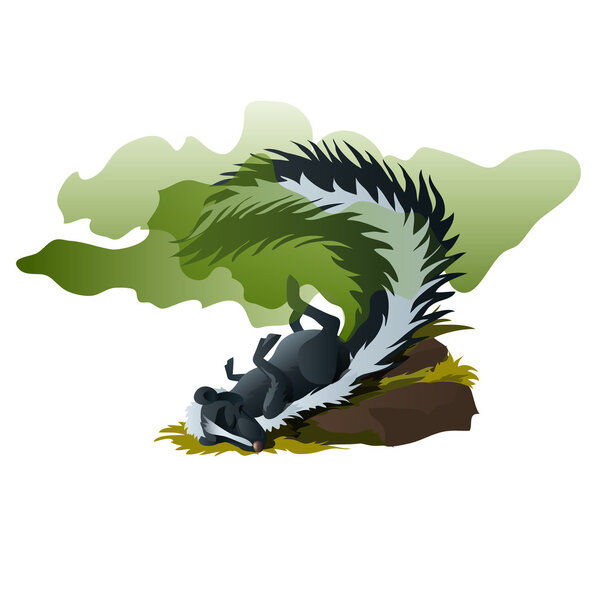 Смешной скунс спит и источает вонючий запах.
