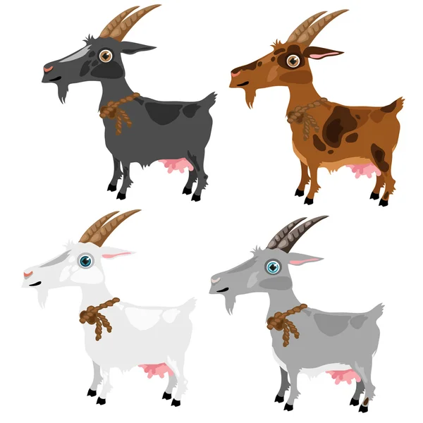 Cuatro cabras manchadas, gris, blanco, marrón y negro — Archivo Imágenes Vectoriales