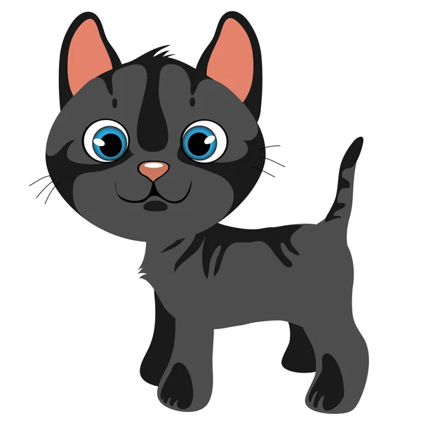 Cartoon gray cat with blue eyes, vector pets — Stock Vector