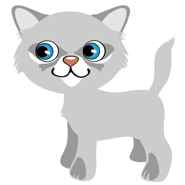 Gatito bastante gris con ojos azules, mascota de dibujos animados — Vector de stock