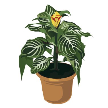 Tencerede, izole çiçek dekoratif sarı çiçek