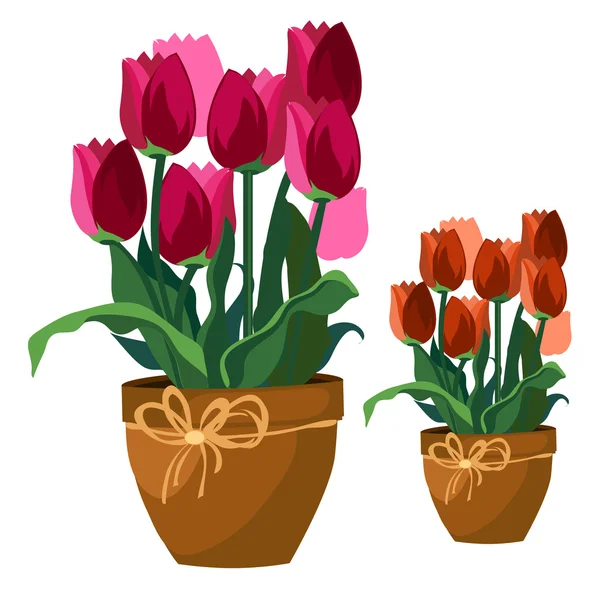 Tulips in pots. Vector illustration. — Stock Vector © Naddya 41728077