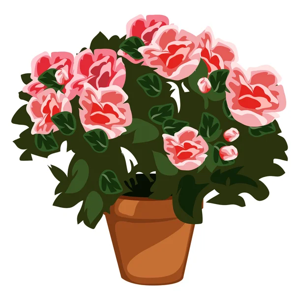 Flores rosa decorativas em vaso, vetor isolado — Vetor de Stock