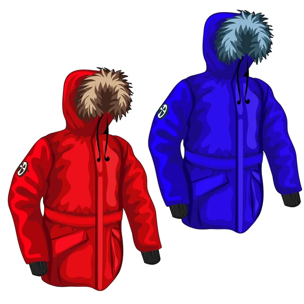 Warm donsjack voor winter in verschillende kleuren — Stockvector