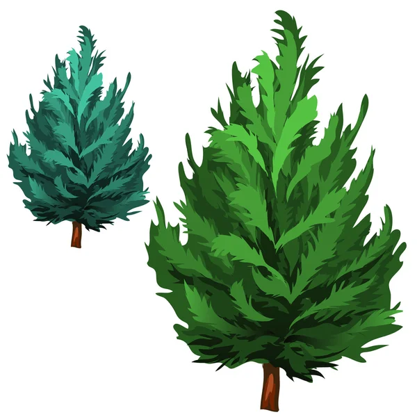Grön Gran i tecknad stil på vit bakgrund — Stock vektor