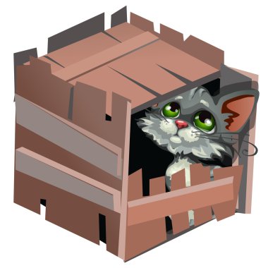 Ahşap kutusunda üzgün karikatür gri kedicik