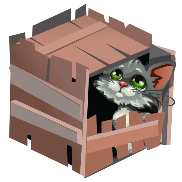 Triste gatito gris de dibujos animados en caja de madera — Archivo Imágenes Vectoriales