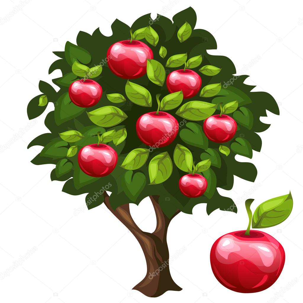 My Image 18
