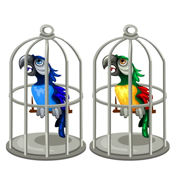 Deux perroquets tropicaux colorés dans une cage à oiseaux — Image vectorielle