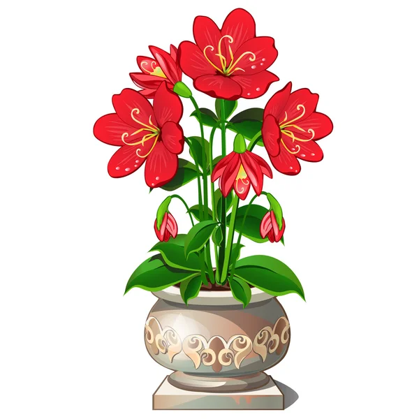 Jasne czerwone kwiaty w piękny ceramiczny garnek — Wektor stockowy