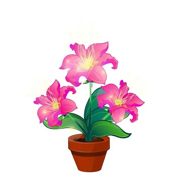 Flores mágicas rosa brilhante em vaso, vetor isolado — Vetor de Stock