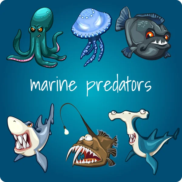 Marine predators: shark, piranha and other — Stock Vector