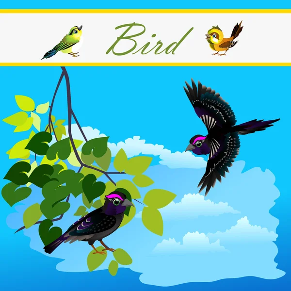 Bird on branch and bird flying in the sky — Stock Vector