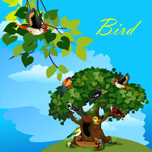 多彩卡与可爱的小鸟在树上 — 图库矢量图片