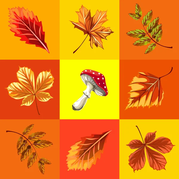 Fondo de otoño conjunto de hojas y setas — Vector de stock