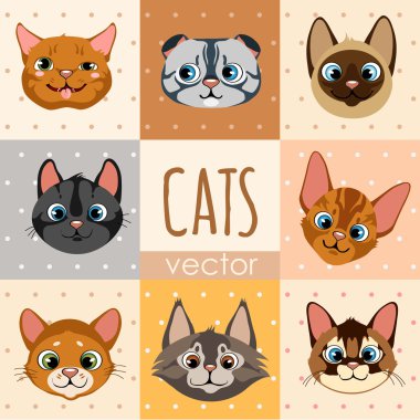 Sekiz renkli karikatür kedi yüzleri ayarla