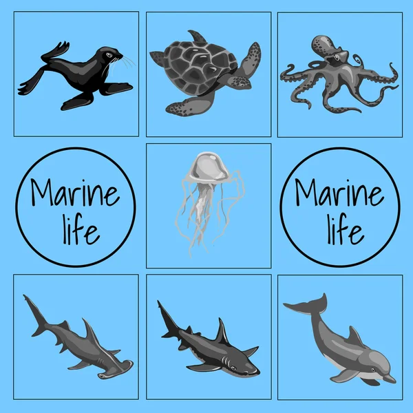 Conjunto de animales marinos, tarjeta con espacio para texto — Vector de stock