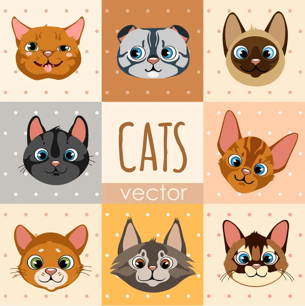 Set dari delapan warna kartun wajah kucing - Stok Vektor