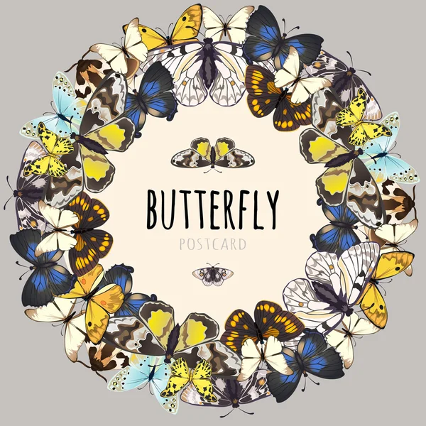 Postcard, set of butterflies with space for text — Stock Vector