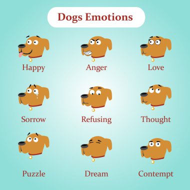 Köpek duygular: mutlu, öfke, aşk ve diğer