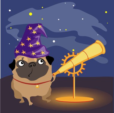 Bilim adamı köpek pug yıldızları izlerken